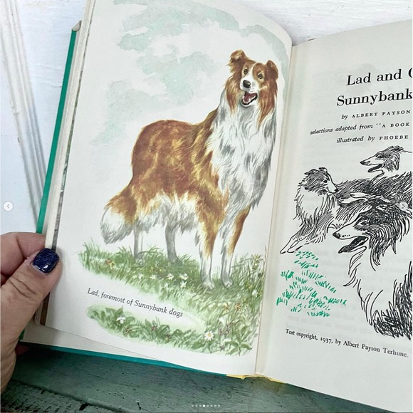 Vintage Best in Children’s Books  SCARRY Ist Ed V 5 Dust Jacket Doubleday 1959 - Picture 4 of 8